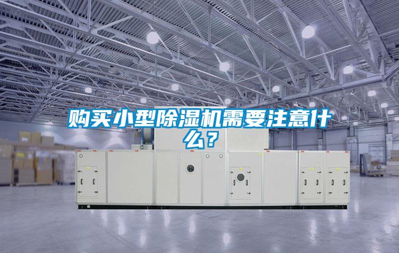 欧美成色手机在线观看 购买小型除湿机需要注意什么？