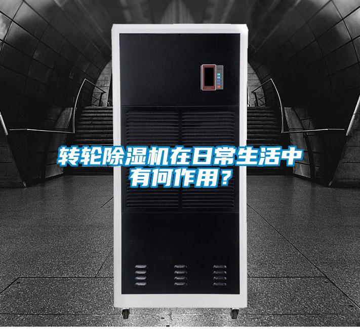 欧美成色手机在线观看 转轮除湿机在日常生活中有何作用？
