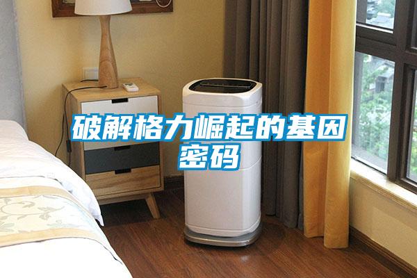 欧美成色手机在线观看 破解格力崛起的基因密码