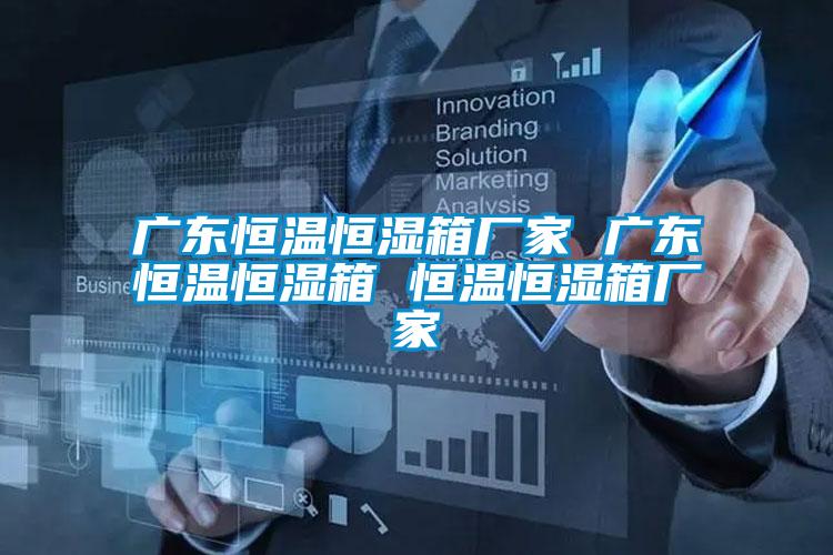 欧美黄色电影在线播放 广东恒温恒湿箱厂家 广东恒温恒湿箱 恒温恒湿箱厂家