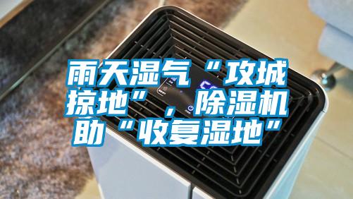 欧美成色手机在线观看 雨天湿气“攻城掠地”，除湿机助“收复湿地”