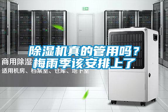 欧美黄色性爱视频网站 除湿机真的管用吗？梅雨季该安排上了