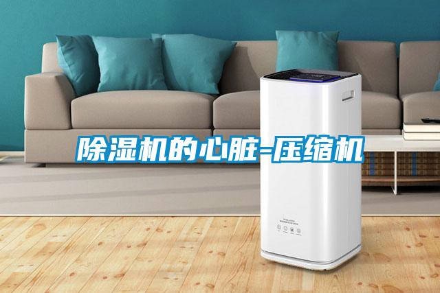 欧美黄色性爱视频网站 除湿机的心脏-压缩机