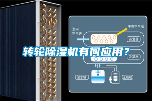 欧美黄色电影在线播放 转轮除湿机有何应用？