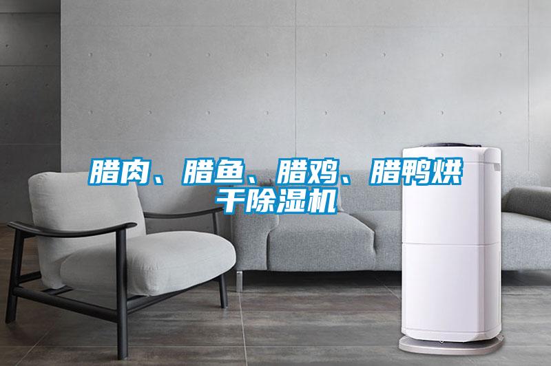 欧美黄色电影在线播放 腊肉、腊鱼、腊鸡、腊鸭烘干除湿机