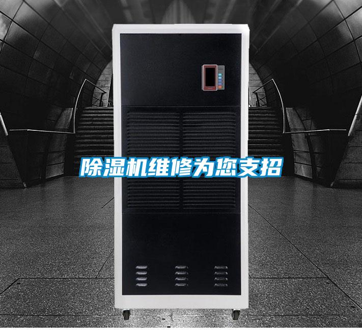 欧美黄色电影在线播放 除湿机维修为您支招