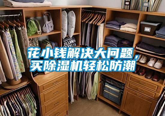 欧美黄色电影在线播放 花小钱解决大问题，买除湿机轻松防潮
