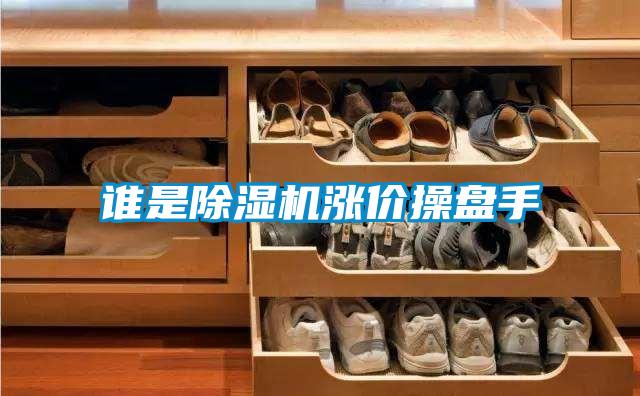 欧美黄色电影在线播放 谁是除湿机涨价操盘手