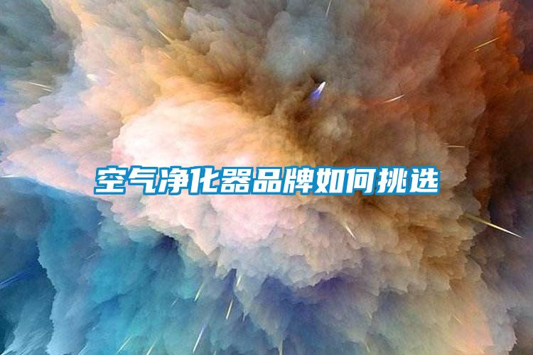 欧美黄色性爱视频网站 空气净化器品牌如何挑选