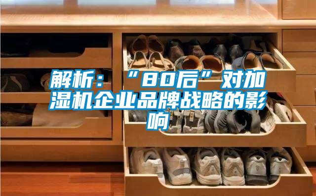 欧美黄色性爱视频网站 解析：“80后”对加湿机企业品牌战略的影响
