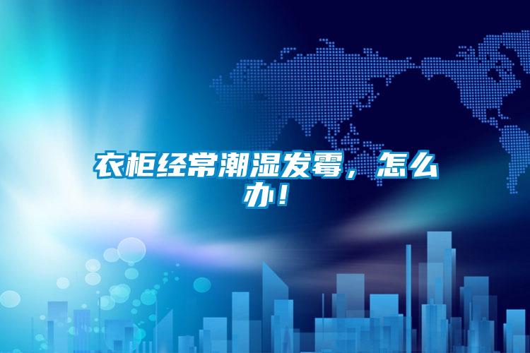 欧美黄色性爱视频网站 衣柜经常潮湿发霉，怎么办！