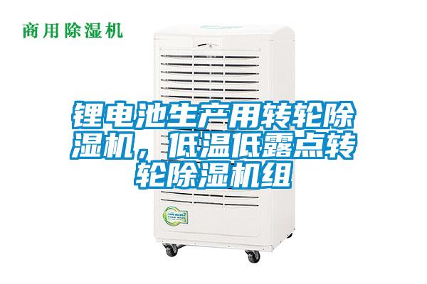 欧美黄色电影在线播放 锂电池生产用转轮除湿机，低温低露点转轮除湿机组