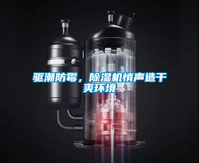 欧美黄色性爱视频网站 驱潮防霉，除湿机悄声造干爽环境