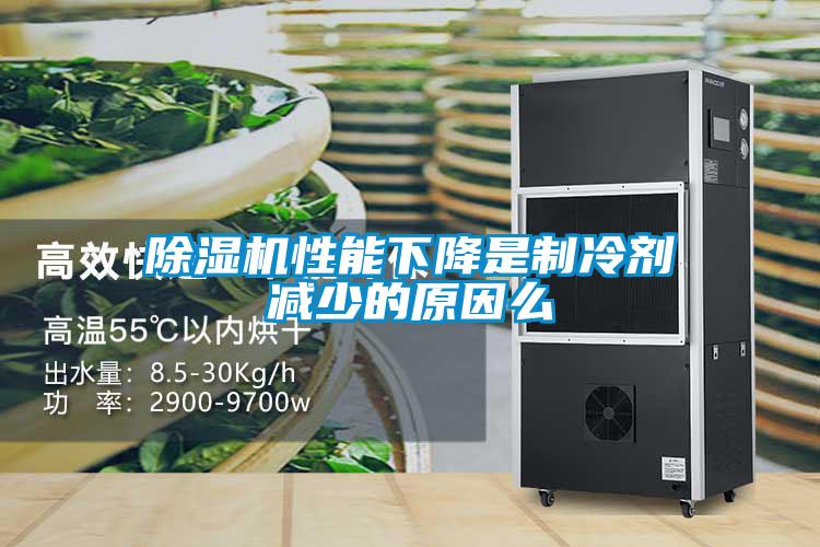 欧美黄色性爱视频网站 除湿机性能下降是制冷剂减少的原因么