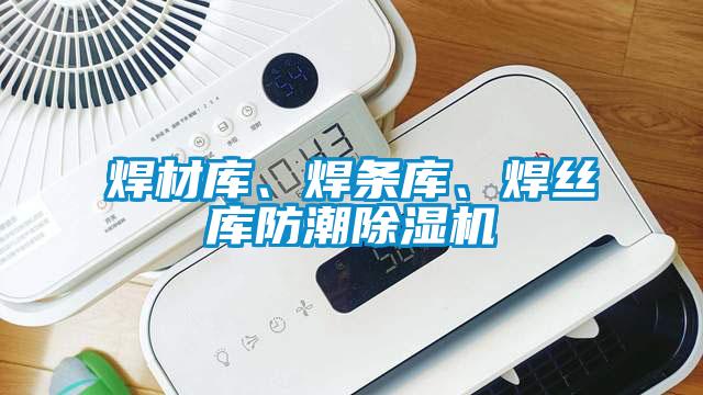 欧美黄色性爱视频网站 焊材库、焊条库、焊丝库防潮除湿机