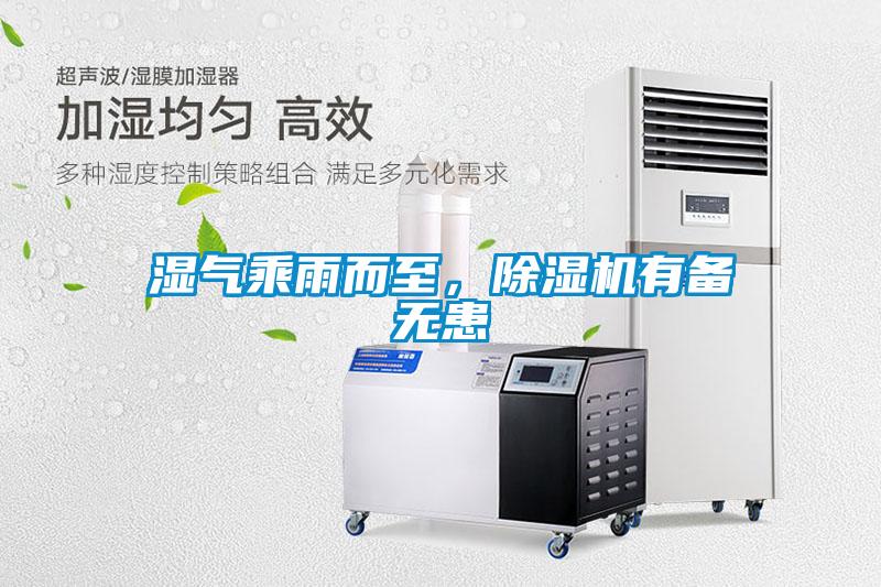 欧美黄色电影在线播放 湿气乘雨而至，除湿机有备无患