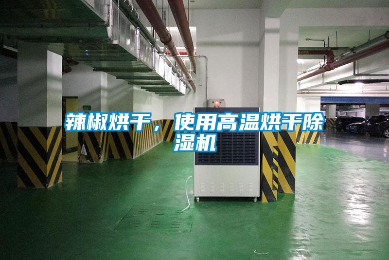 欧美黄色性爱视频网站 辣椒烘干，使用高温烘干除湿机