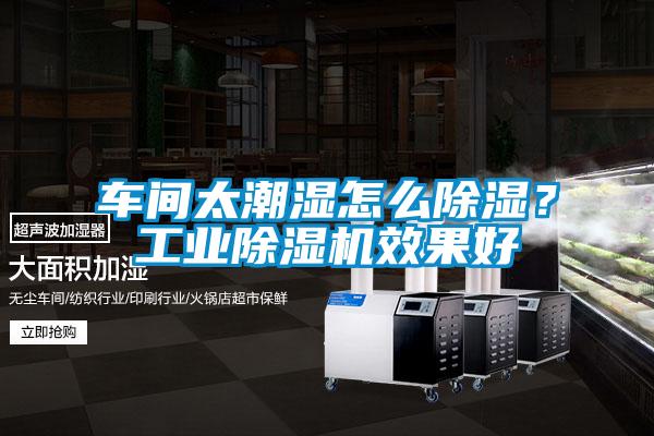 欧美黄色电影在线播放 车间太潮湿怎么除湿？工业除湿机效果好
