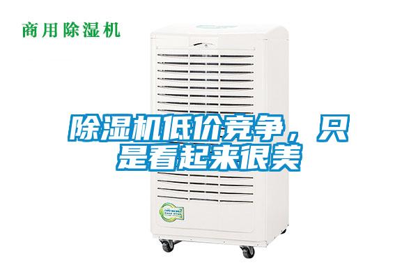 欧美黄色性爱视频网站 除湿机低价竞争，只是看起来很美