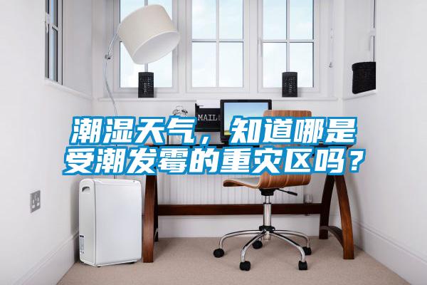 欧美黄色电影在线播放 潮湿天气，知道哪是受潮发霉的重灾区吗？
