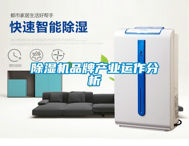 欧美黄色性爱视频网站 除湿机品牌产业运作分析