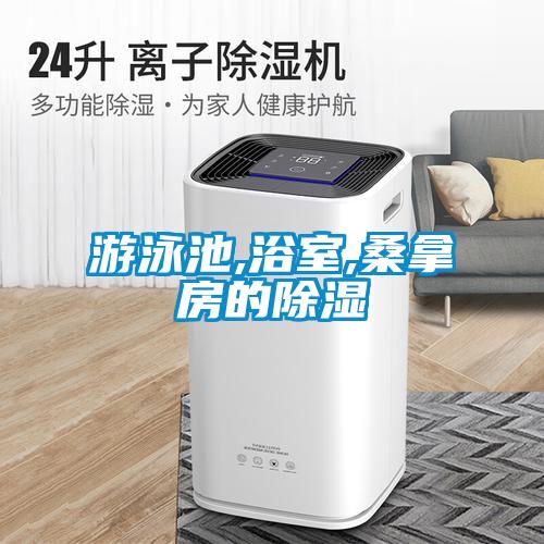 欧美黄色性爱视频网站 游泳池,浴室,桑拿房的除湿