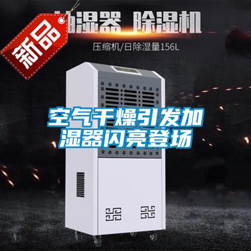 欧美成色手机在线观看 空气干燥引发加湿器闪亮登场