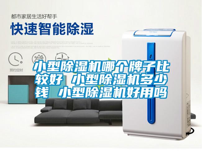 欧美黄色性爱视频网站 小型除湿机哪个牌子比较好 小型除湿机多少钱 小型除湿机好用吗