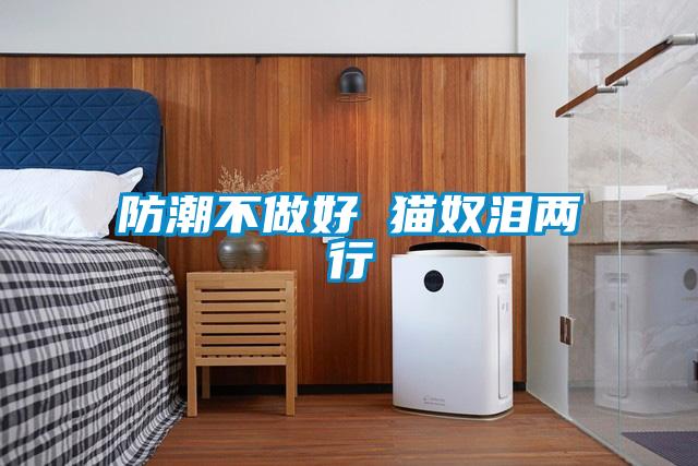 欧美黄色电影在线播放 防潮不做好 猫奴泪两行