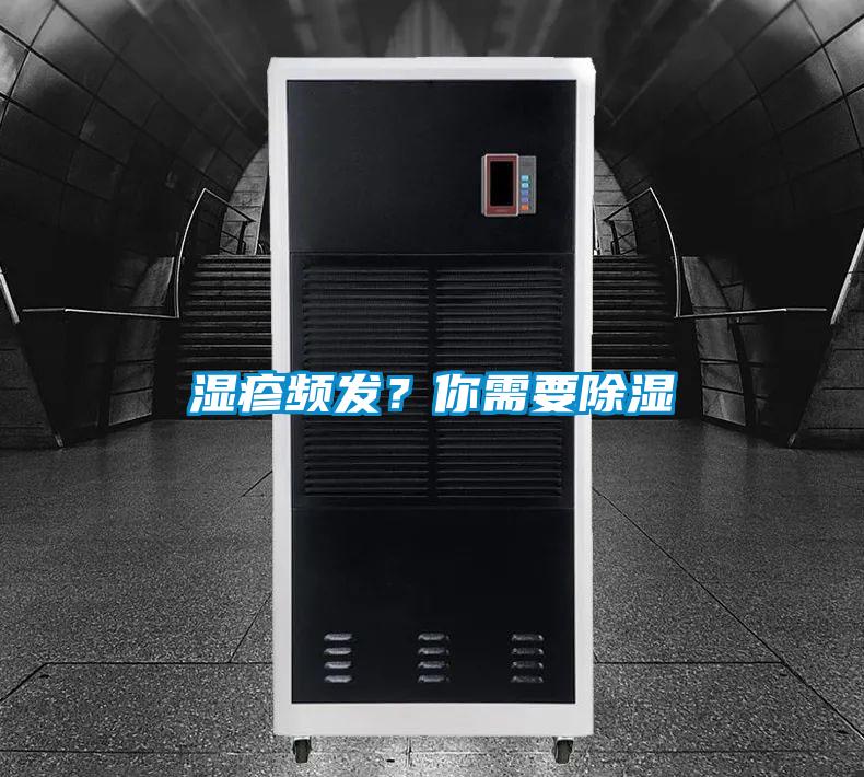 欧美黄色性爱视频网站 湿疹频发？你需要除湿