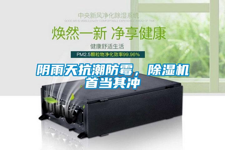 欧美成色手机在线观看 阴雨天抗潮防霉，除湿机首当其冲
