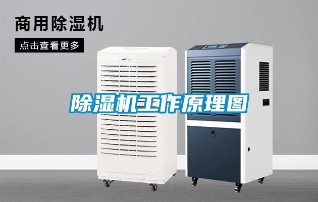 欧美黄色电影在线播放 除湿机工作原理图