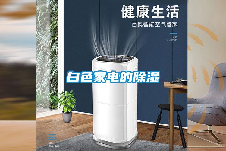 欧美黄色电影在线播放 白色家电的除湿