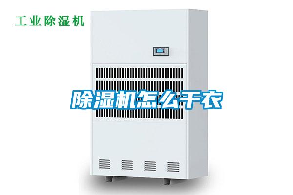 欧美黄色性爱视频网站 除湿机怎么干衣