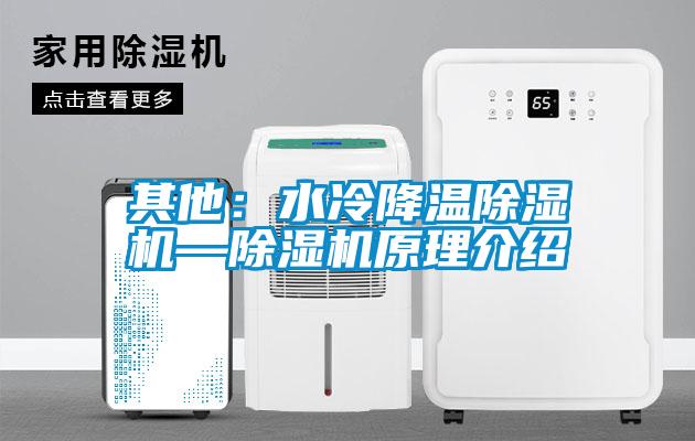 欧美黄色性爱视频网站 其他：水冷降温除湿机—除湿机原理介绍