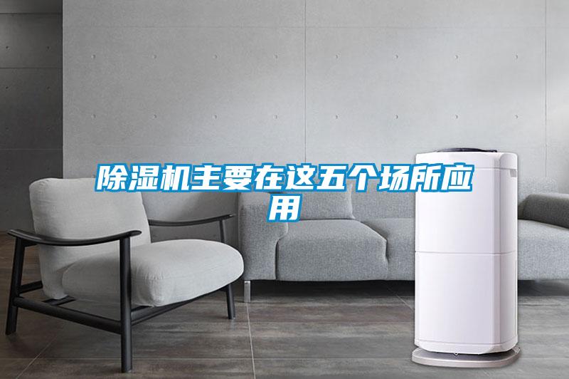 欧美黄色电影在线播放 除湿机主要在这五个场所应用