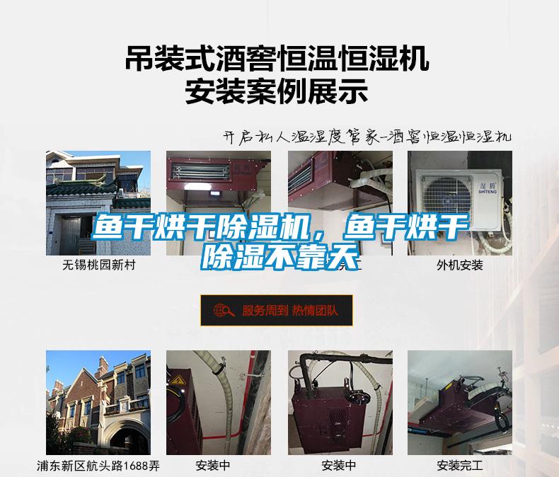 欧美黄色性爱视频网站 鱼干烘干除湿机，鱼干烘干除湿不靠天
