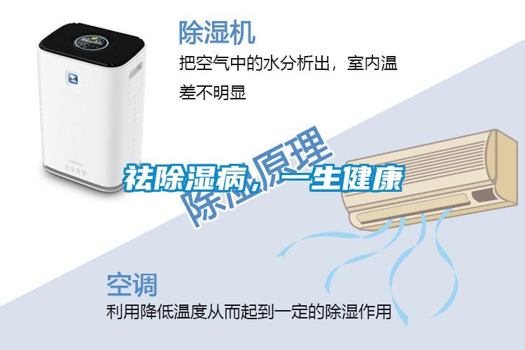 欧美黄色性爱视频网站 祛除湿病，一生健康
