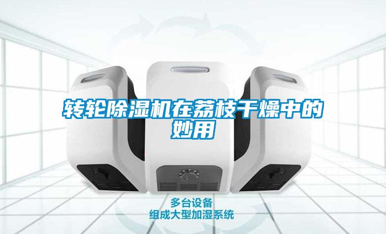 欧美黄色电影在线播放 转轮除湿机在荔枝干燥中的妙用