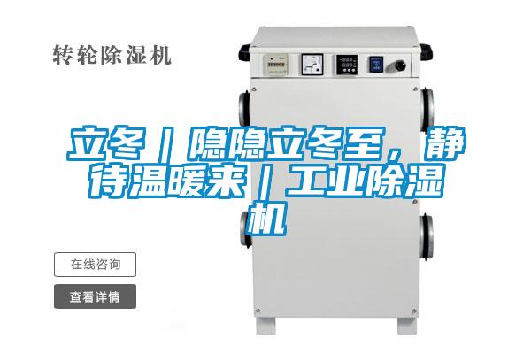 欧美黄色电影在线播放 立冬｜隐隐立冬至，静待温暖来｜工业除湿机