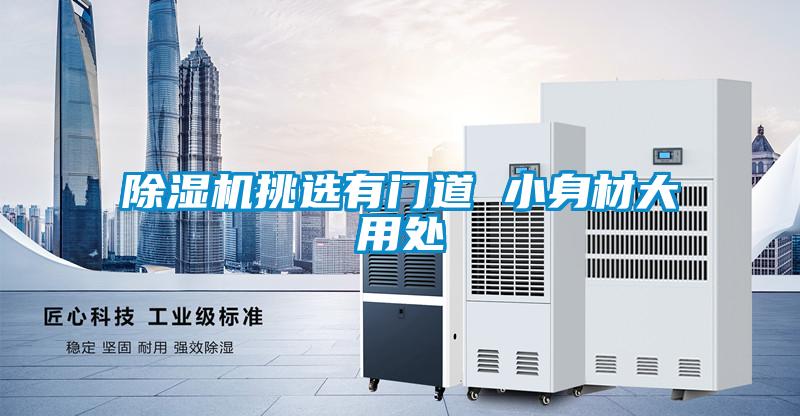 欧美黄色性爱视频网站 除湿机挑选有门道 小身材大用处