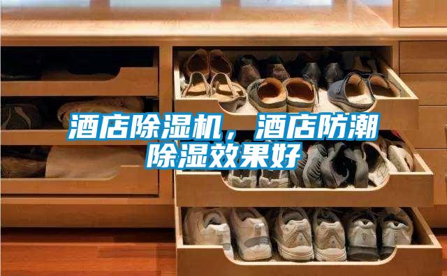 欧美成色手机在线观看 酒店除湿机，酒店防潮除湿效果好