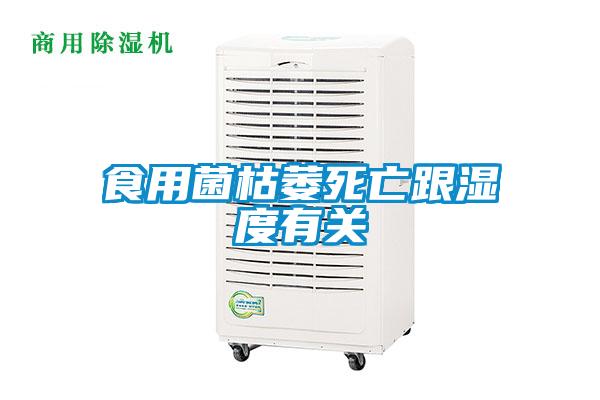 欧美黄色电影在线播放 食用菌枯萎死亡跟湿度有关