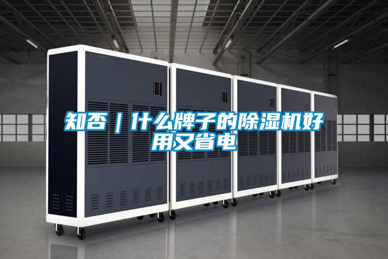 欧美黄色性爱视频网站 知否｜什么牌子的除湿机好用又省电