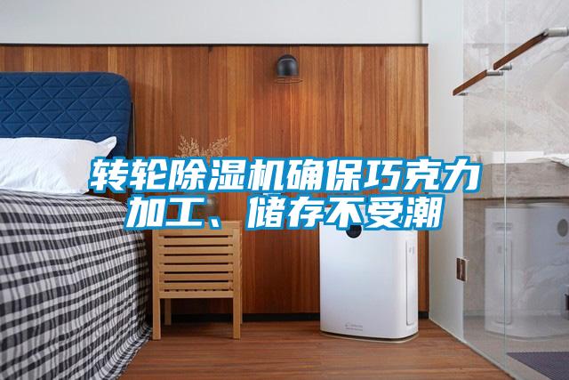 欧美黄色电影在线播放 转轮除湿机确保巧克力加工、储存不受潮