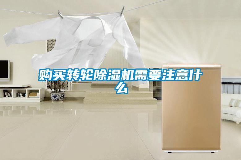 欧美黄色性爱视频网站 购买转轮除湿机需要注意什么