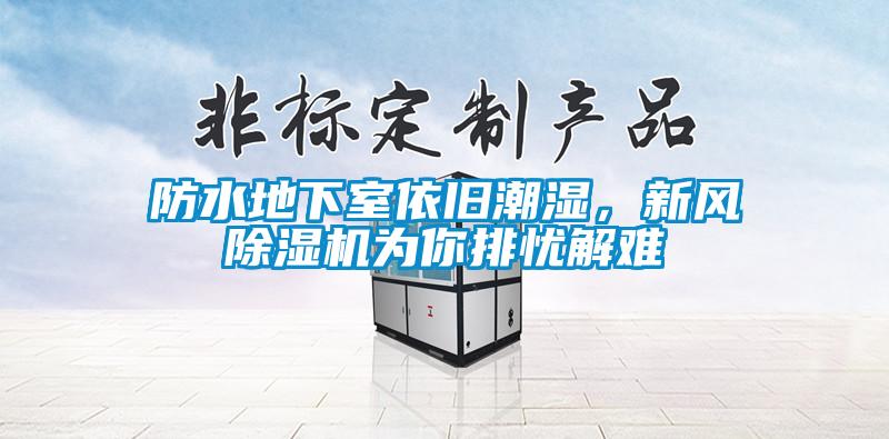 欧美成色手机在线观看 防水地下室依旧潮湿，新风除湿机为你排忧解难