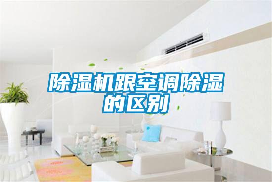 欧美黄色性爱视频网站 除湿机跟空调除湿的区别