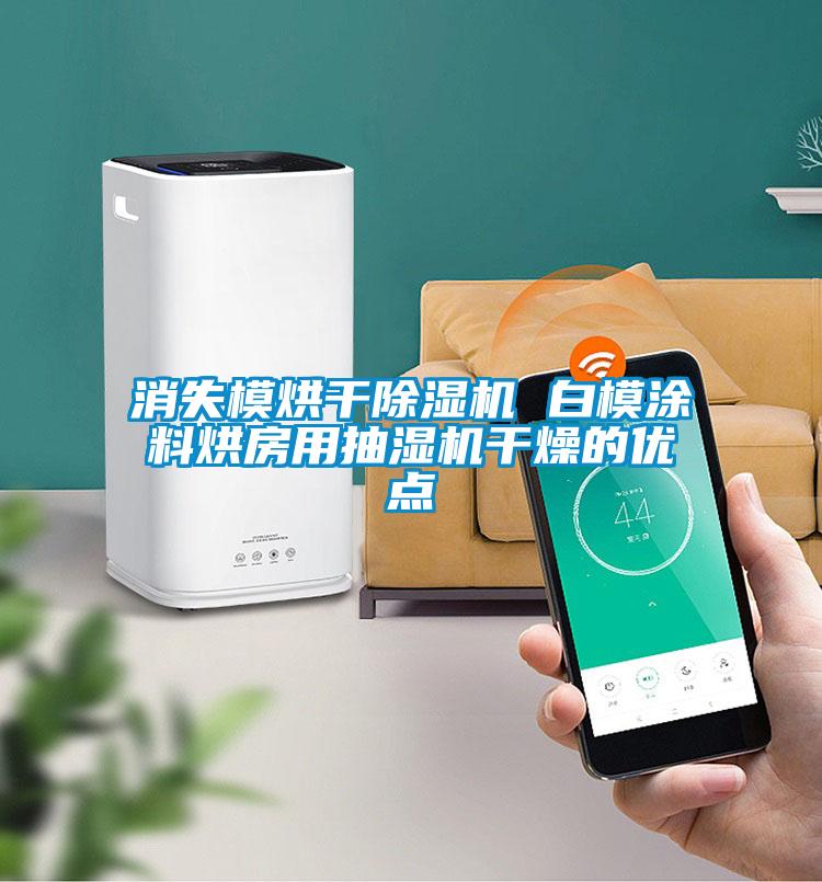 欧美黄色电影在线播放 消失模烘干除湿机 白模涂料烘房用抽湿机干燥的优点