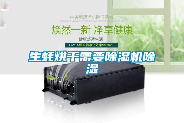 欧美黄色电影在线播放 生蚝烘干需要除湿机除湿